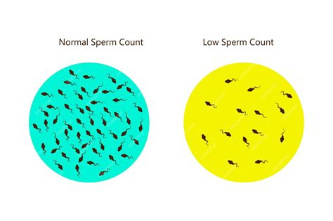 masumax for sperm count